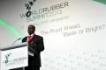 Sommet Mondial du Caoutchouc / Edition 2013 à Singapour : La Côte d’Ivoire au rendez-vous