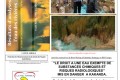 République Démocratique du Congo (RDC) : Rapport de la pollution des rivières au Katanga par Boss MIning