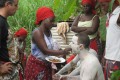 Vincent Ravalec : “Le Bwiti gabonais a métamorphosé ma vision du monde”