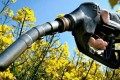 Sénégal : Qui est derrière Senhuile-Senethanol ?