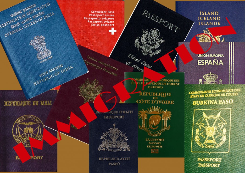immigration-nzi