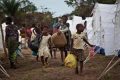 Victimes de la crise ivoirienne : Trop c’est trop !