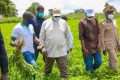Sénégal – Agriculture : Tournée du Président Macky SALL a à Fatick, Kaolack et Kaffrine