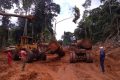 Déforestation du bassin du Congo