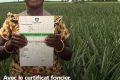 Photo / © Ministère de l'Agriculture et du Développement Durable